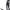 https://res.cloudinary.com/billionhands/image/upload/v1775007530/items/xczejwio05owkbsyv8xp.webp-3cover
