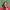 https://res.cloudinary.com/billionhands/image/upload/v1775008635/items/yp8tlbthap5md6badd2f.png-2cover