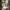 https://res.cloudinary.com/billionhands/image/upload/v1775008638/items/lghsn9krqwl40dxjaixj.jpg-3cover