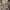 https://res.cloudinary.com/billionhands/image/upload/v1775008642/items/brkscnkigjgptoofn9hg.jpg-3cover