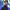 https://res.cloudinary.com/billionhands/image/upload/v1775008675/items/cf7yqkcaqybr7ph81fxx.jpg-3cover