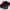 https://res.cloudinary.com/billionhands/image/upload/v1775008685/items/di462uwp6feii30afqcn.jpg-3cover
