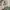 https://res.cloudinary.com/billionhands/image/upload/v1775008736/items/b9kctq3xmv9ulldv5zhz.jpg-1cover
