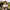 https://res.cloudinary.com/billionhands/image/upload/v1775008737/items/gpxne8lcpj7guvvsnxbq.webp-3cover
