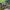 https://res.cloudinary.com/billionhands/image/upload/v1775008808/items/tgu19490ivzh5wqkvmt2.jpg-1cover