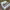 https://res.cloudinary.com/billionhands/image/upload/v1775008809/items/voyxzmzr7ulijbu5gtkw.png-1cover