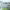 https://res.cloudinary.com/billionhands/image/upload/v1775008811/items/dvq6lnnuetsiustw4ljj.jpg-3cover