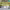 https://res.cloudinary.com/billionhands/image/upload/v1775008942/items/ccdbgwck63iywtpxea0g.jpg-3cover