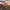Taps (St. Anton am Arlberg, Tyrol) cover