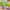 https://res.cloudinary.com/billionhands/image/upload/v1775008966/items/cshzqzhgjrxiyocj1nrw.jpg-1cover