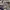 https://res.cloudinary.com/billionhands/image/upload/v1775009161/items/ev2imphjmdsjowm3ooqw.jpg-3cover