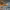 https://res.cloudinary.com/billionhands/image/upload/v1775009166/items/sykgr1vvfszdkoasstnt.webp-2cover
