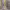 https://res.cloudinary.com/billionhands/image/upload/v1775009175/items/jemzryz9guse5qksbulg.webp-1cover