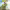 https://res.cloudinary.com/billionhands/image/upload/v1775009341/items/v7q7znp6ulxgqkob7mi1.jpg-0cover