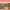 https://res.cloudinary.com/billionhands/image/upload/v1775009342/items/hstgqc61w8xgomyussjd.jpg-0cover