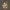 https://res.cloudinary.com/billionhands/image/upload/v1775009343/items/pgtlt9b5pxffblyzvsdi.jpg-1cover