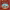 https://res.cloudinary.com/billionhands/image/upload/v1775009343/items/wvekvvhbor4ro5bcbmdh.jpg-0cover