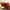 https://res.cloudinary.com/billionhands/image/upload/v1775009344/items/iqggoqewrbgfzbzu8v6v.jpg-1cover
