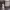 https://res.cloudinary.com/billionhands/image/upload/v1775009345/items/x4ltkgcvxz05lxrmd2xa.webp-2cover