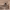 https://res.cloudinary.com/billionhands/image/upload/v1775009349/items/h1jjtjhhsnipxiskmh51.jpg-3cover