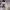 https://res.cloudinary.com/billionhands/image/upload/v1775009351/items/jz2l3qw01iavsmq0n6mo.avif-3cover