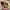 https://res.cloudinary.com/billionhands/image/upload/v1775009387/items/vqvxaphljz1yqrbsolxn.jpg-2cover