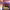 https://res.cloudinary.com/billionhands/image/upload/v1775009550/items/pherxzmfjmbe9xj2mov3.jpg-0cover