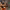 https://res.cloudinary.com/billionhands/image/upload/v1775009553/items/wca8gf7rvkaxvs41g10e.jpg-2cover