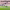https://res.cloudinary.com/billionhands/image/upload/v1775009557/items/p45ascwa5ulqjhhl9tvk.avif-3cover