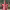 https://res.cloudinary.com/billionhands/image/upload/v1775009569/items/e3vheryqoyb3dcp5lgbw.jpg-2cover