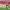https://res.cloudinary.com/billionhands/image/upload/v1775009570/items/kdjnigionu3ravof5cap.jpg-3cover