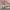 https://res.cloudinary.com/billionhands/image/upload/v1775009578/items/dsxwliy1jecql9vg9pyw.jpg-0cover