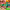 https://res.cloudinary.com/billionhands/image/upload/v1775009679/items/nwue2kaycwoxfpmbrzo4.jpg-0cover