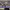 https://res.cloudinary.com/billionhands/image/upload/v1775009686/items/klhp8suyanjup5qfqxyx.jpg-0cover