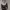 https://res.cloudinary.com/billionhands/image/upload/v1775009717/items/vnneorwkqvwrcaz5f5se.avif-1cover