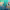 https://res.cloudinary.com/billionhands/image/upload/v1775009852/items/y0yoqfwceibfpkpknht3.jpg-2cover