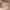 https://res.cloudinary.com/billionhands/image/upload/v1775009900/items/k7kl3wyjrhdtvzspn4hb.jpg-0cover