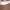 https://res.cloudinary.com/billionhands/image/upload/v1775009902/items/bgvxt2wwqeny0dapp8rm.jpg-3cover