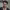 https://res.cloudinary.com/billionhands/image/upload/v1775009974/items/vk4uvuumkl5j0pvjdjg6.png-0cover