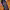 https://res.cloudinary.com/billionhands/image/upload/v1775010247/items/cno0tdpkcsk9pycswx4j.jpg-1cover