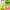 https://res.cloudinary.com/billionhands/image/upload/v1775010459/items/kkgypast8jjajqcemppu.webp-3cover