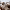 BAPORSSA Vanguard Rimless Shield Sunglasses | Pink BA30 cover