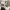 https://res.cloudinary.com/billionhands/image/upload/v1775010652/items/vwx1ns6kpnza3ikiubpv.avif-2cover