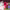 https://res.cloudinary.com/billionhands/image/upload/v1775010785/items/xpty9xlgyusw5dzmty9r.jpg-0cover
