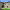 https://res.cloudinary.com/billionhands/image/upload/v1775010968/items/qbrn4pyjjw6qmc2uufpu.jpg-3cover