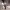 https://res.cloudinary.com/billionhands/image/upload/v1775010972/items/wglvqbmwpzutmd8qqmpd.jpg-2cover