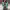 https://res.cloudinary.com/billionhands/image/upload/v1775011013/items/lxeqrbr1sndbizwqaut3.webp-0cover