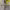 https://res.cloudinary.com/billionhands/image/upload/v1775011015/items/r39yhscpp45ng9dvgjh6.webp-0cover