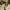 J Balvin, Ryan Castro, DJ Snake – “Tonto” (2026) cover