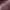 https://res.cloudinary.com/billionhands/image/upload/v1775011874/items/uncgjnskwo2vvsdh0l9q.jpg-0cover